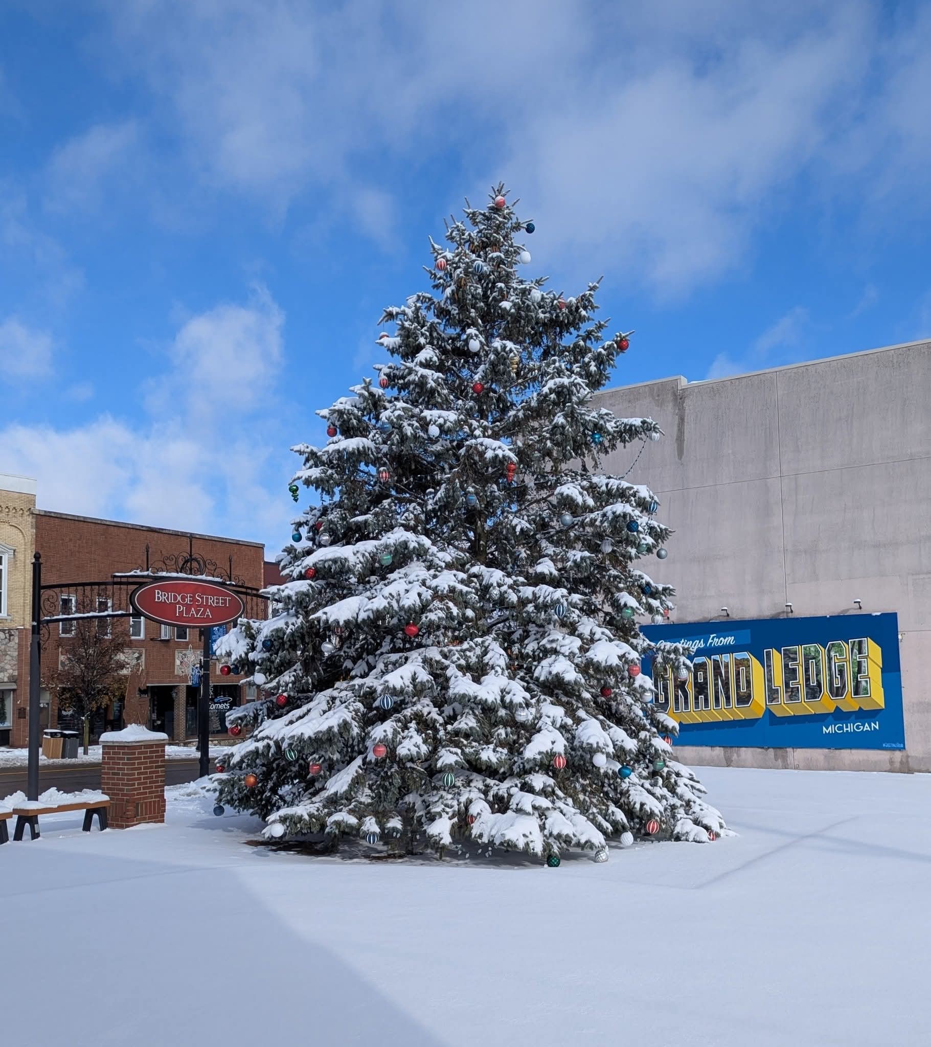 Christmas Night Lights Parade - Christmas Tree