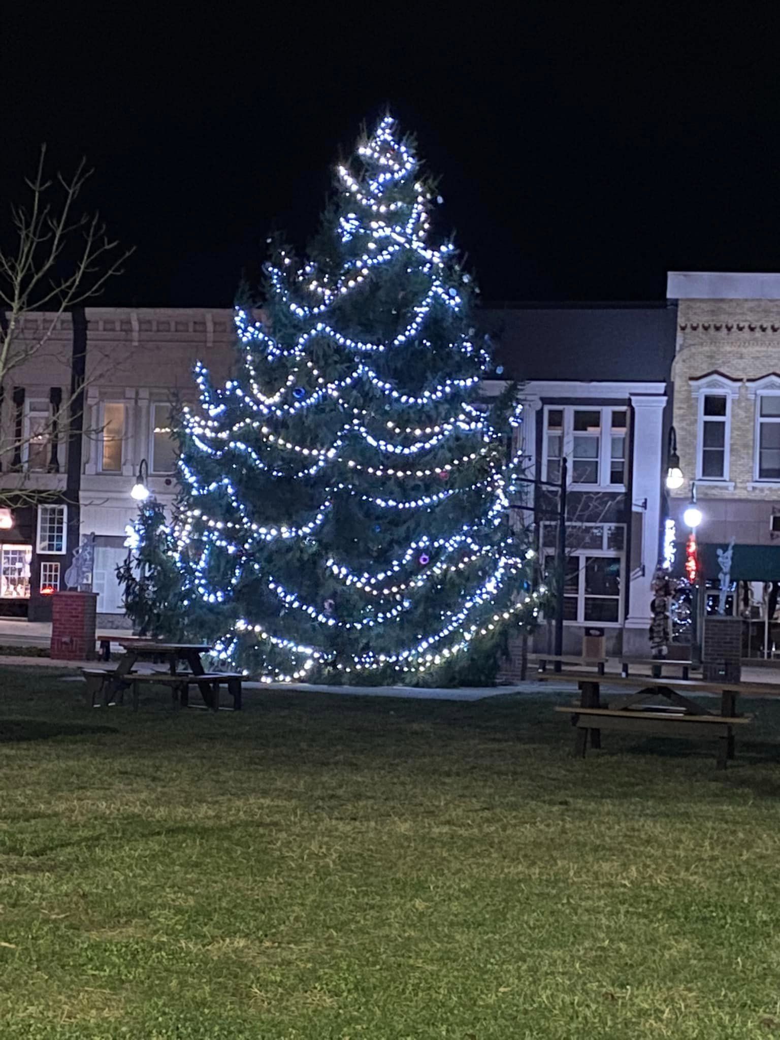 Christmas Night Lights Parade - Christmas Tree